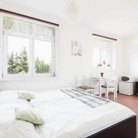 Ubytovani Apartment